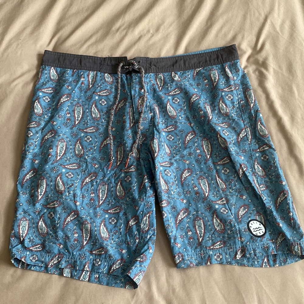 Katin Cactus Boardshorts